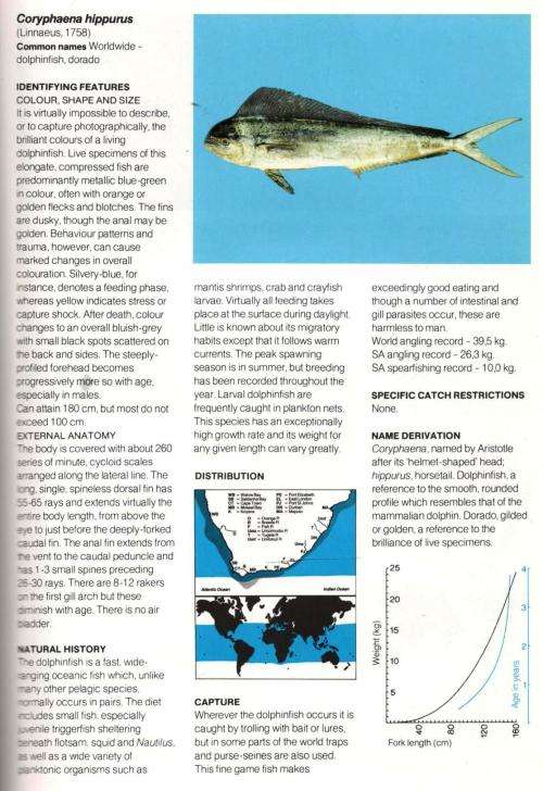 Natural Science A Guide to The Common Sea Fishes of Southern Africa